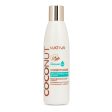 Acondicionador Kativa Coconut 250 ml - Reconstrucción, Brillo e Hidratación para Cabello Muy Dañado, Sensibilizado y Seco con Aceite de Coco Orgánico Embalaje Deteriorado Hot on Sale